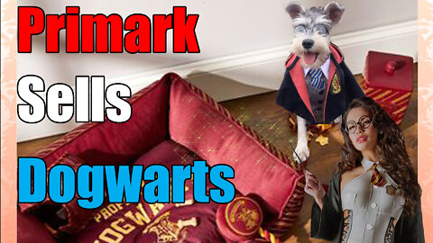 Primark Starts Selling Dogwarts To Harry Potter🧝‍♀️ Fans