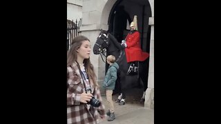 Horse scares kids #horseguardsparade