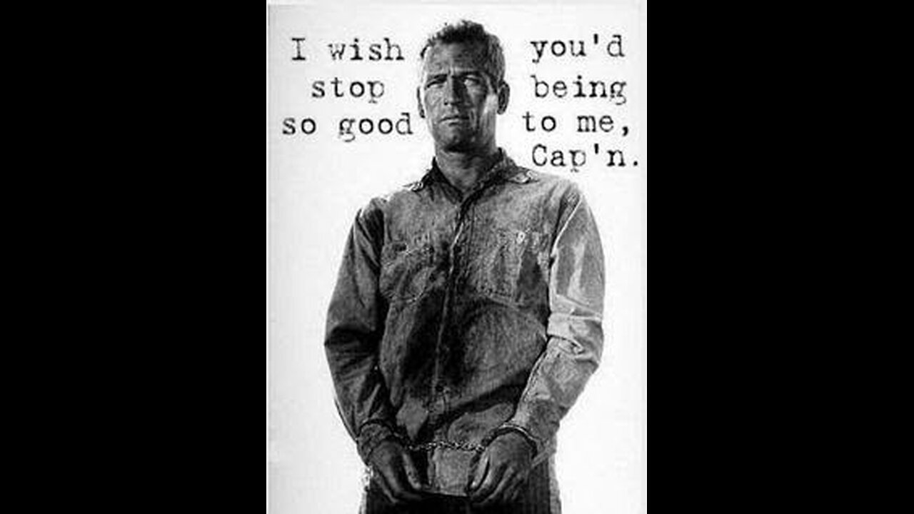 Newman knew what was up