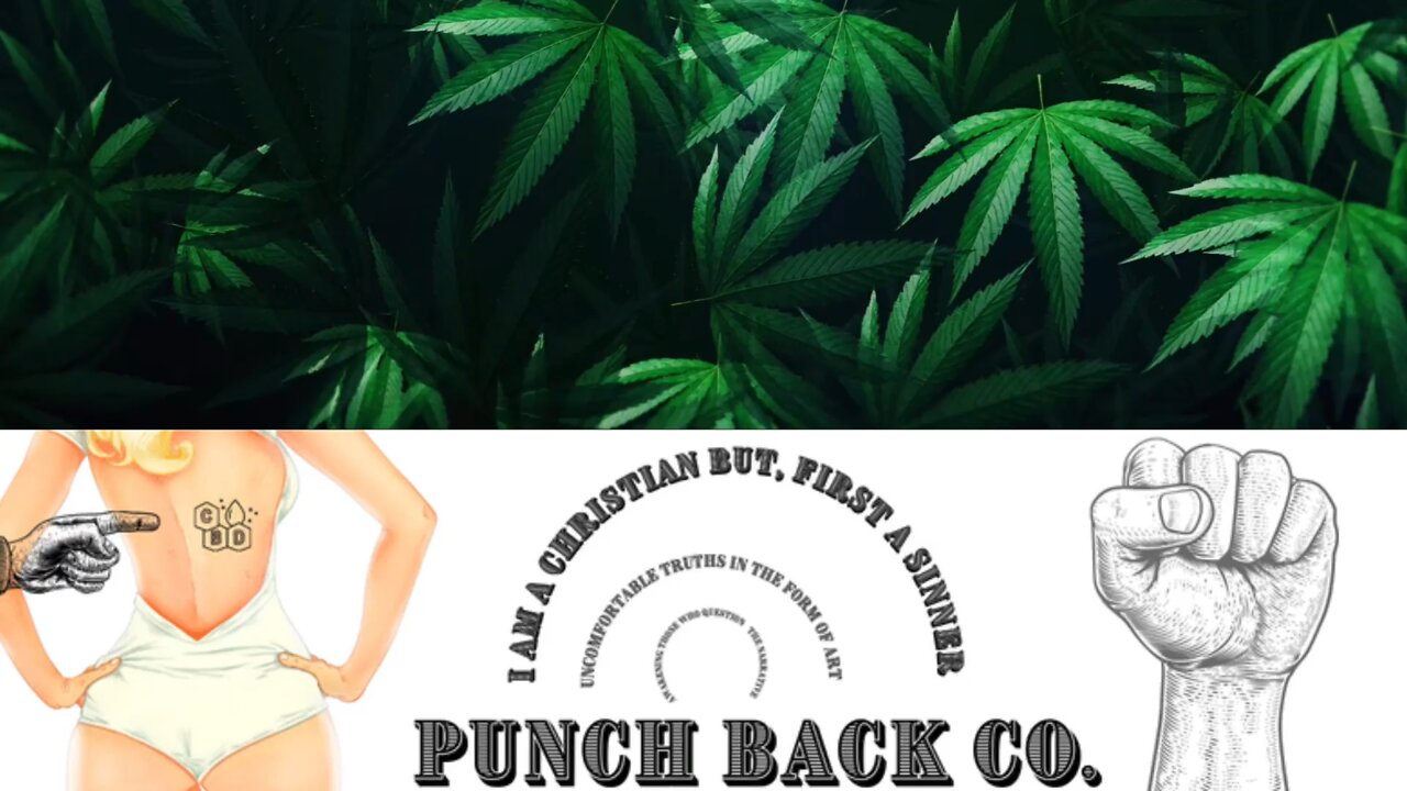 Punch Back Co.