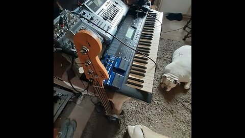 upgrade loop 60- pbass add