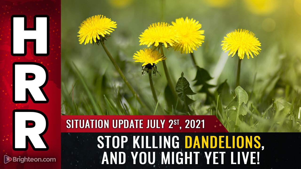 Situation Update, July 2nd, 2021 - Stop killing dandelions, and you might yet LIVE!