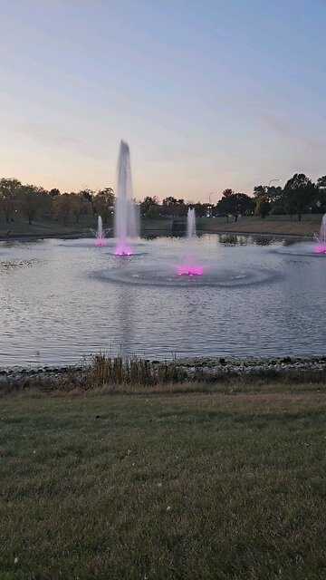 My Peaceful Place - Hey, President Trump, Would You Like a Job as a Pizza Driver?