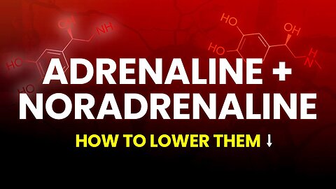 Lower Adrenaline to Optimize Digestion & Heart Health