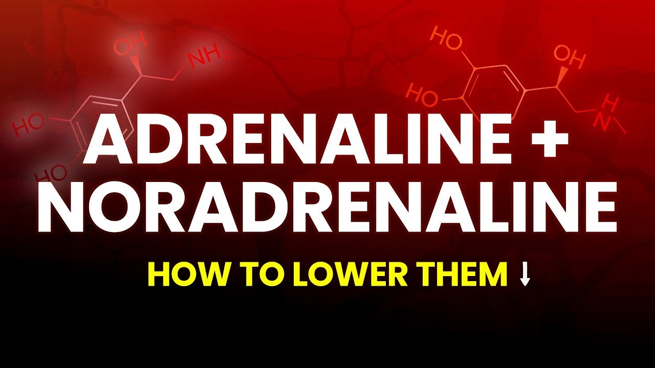 Lower Adrenaline to Optimize Digestion & Heart Health