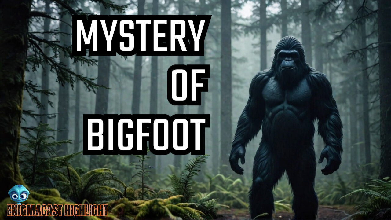 Why Bigfoot Evidence is SO Hard to Capture! | #Enigmacast Highlight