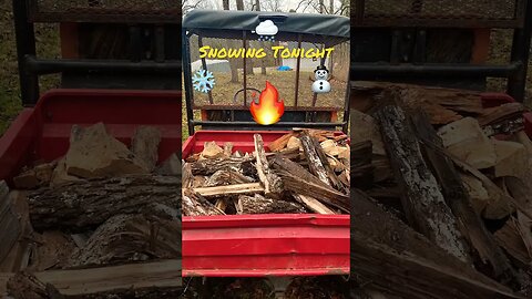 Snowing Tonight. Firewood 🪵 is needed tonight. #prepperboss #shorts #firewood #snow #snowflakes