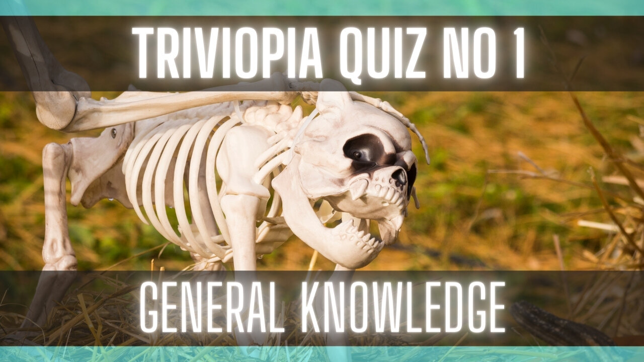 Quiz - General Knowledge [Multi-Choice Answers] [Trivia]