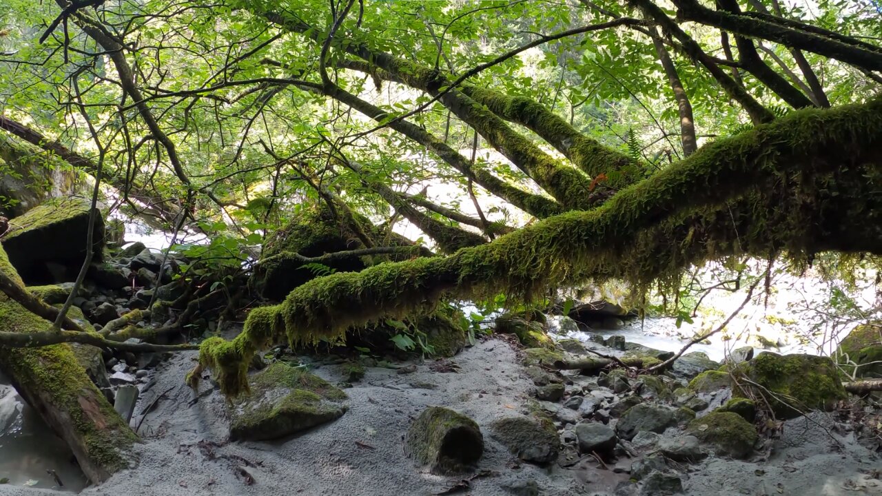 Beautiful Scenery with Nature Sounds - Waterfall