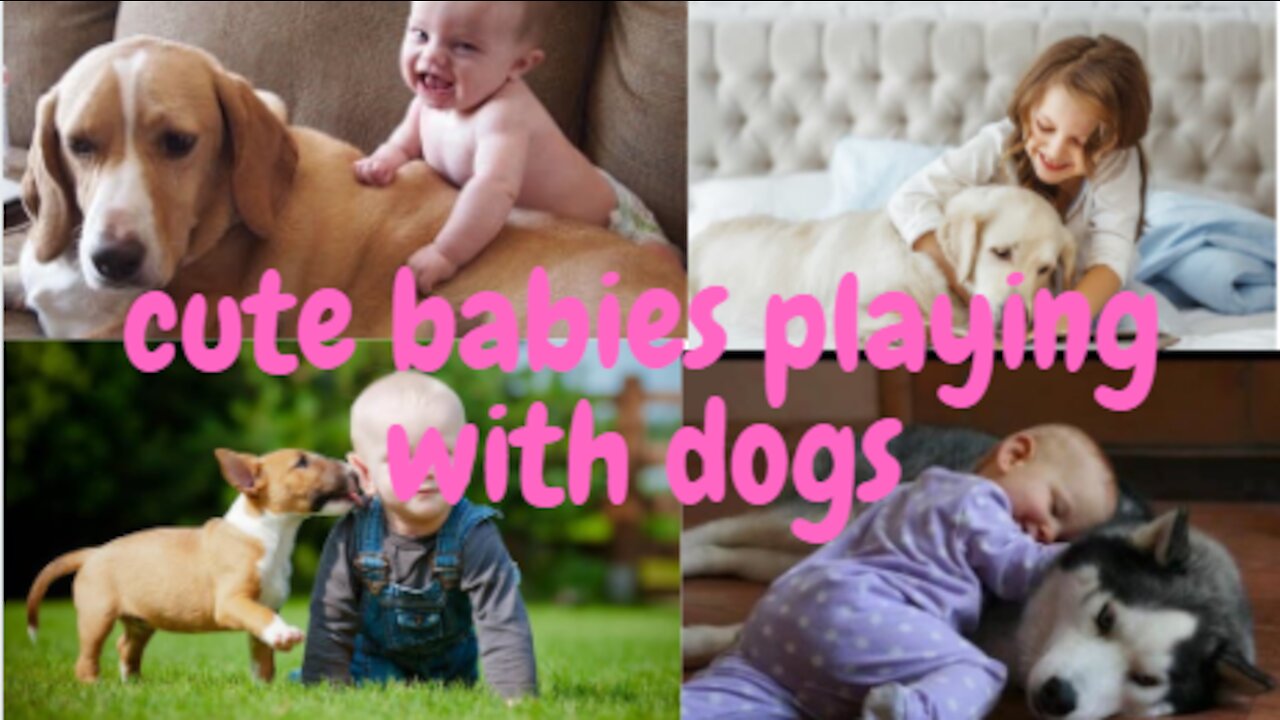 Cute babies playing with dogs