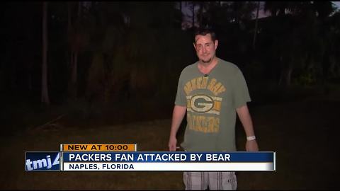 ‘Oh crap there’s a bear’: Irony not lost on Grafton Packers fan attacked by Florida bear