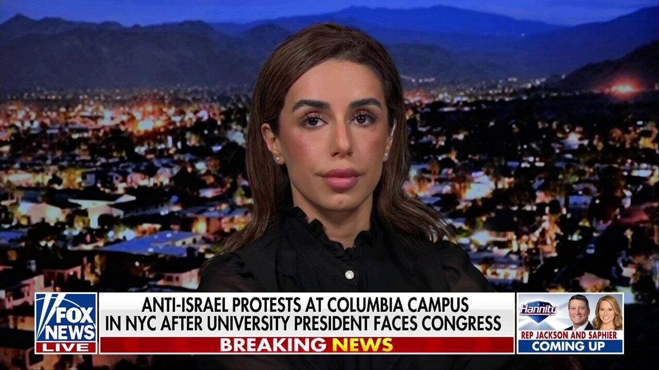 Iranian-American Lawyer Whose Response To Anti-Israel Protesters Went Viral Predicts New 'World War'