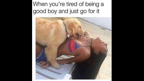 Memes That Will 99.904% Make You Laugh. (e129)