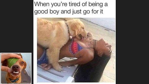 Memes That Will 99.904% Make You Laugh. (e129)