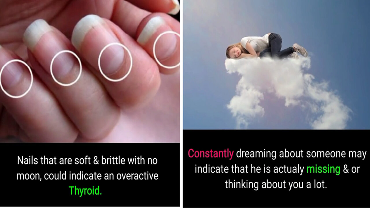 Did You Know Facts|Unknown Facts|Fun Facts|Amazing Facts|Wow Facts|Facts Part #6