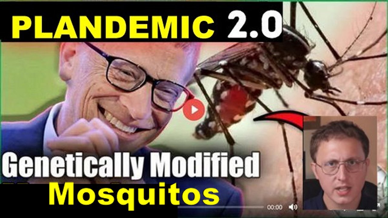 USA Begin New PLAN-Demic Lockdown because of New Bill Gates Mosquito 'VIRUS' 'EEE'!