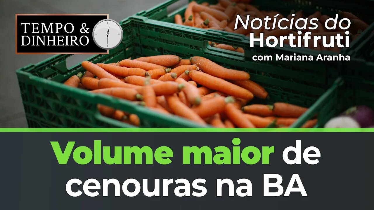 Volume maior de cenouras na BA. Preço da banana sobe no norte de MG