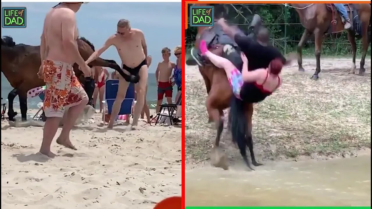 Craziest Horse Fails | LIFE OF DAD CLIPS