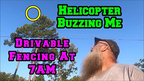 Drivable Electric Fencing | Helicopter Buzzing Me | Cat Supervisors | Arkansas homestead chickens