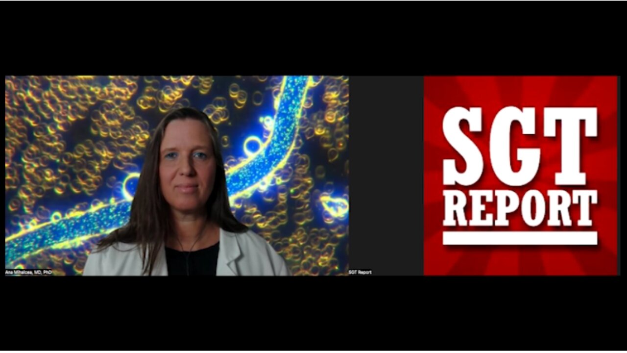 Dr. Ana Mihalcea w/ SGT Report: RED ALERT: IT'S IN OUR BLOOD! -- 9/20/24