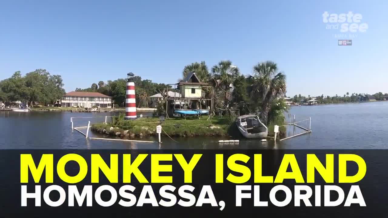 Monkey Island in Homosassa is one unique tourist destination | Taste and See Tampa Bay