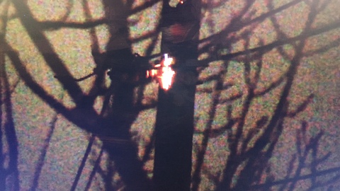 Power Poles Catch Fire