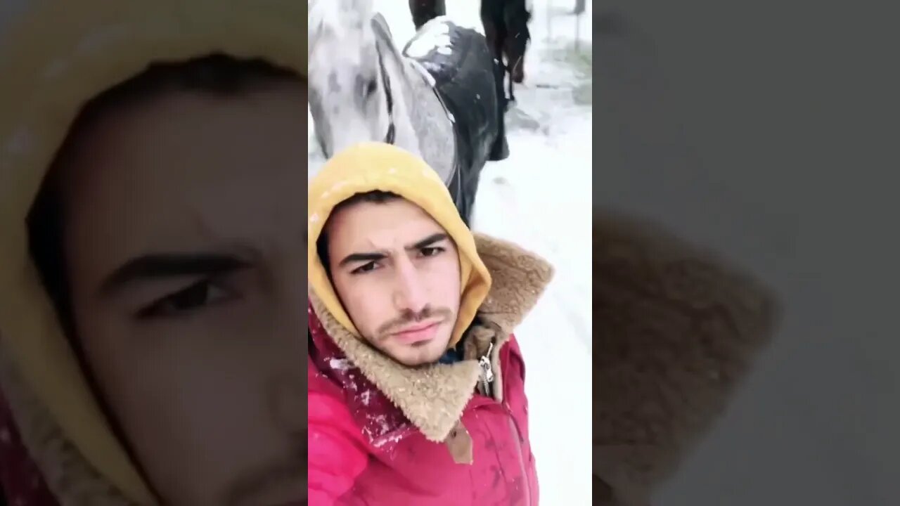 1st January 2023 🐴❄️