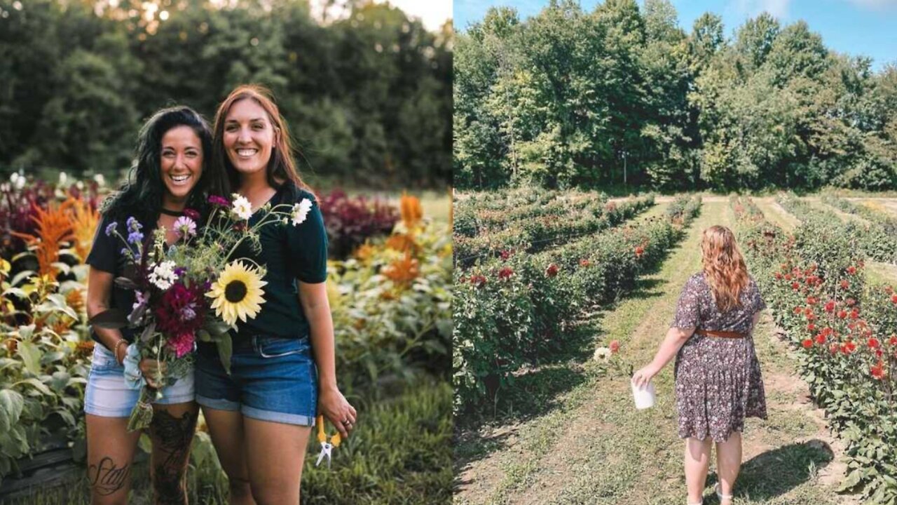 Tu peux cueillir des fleurs colorées dans ces champs près de Montréal cet été