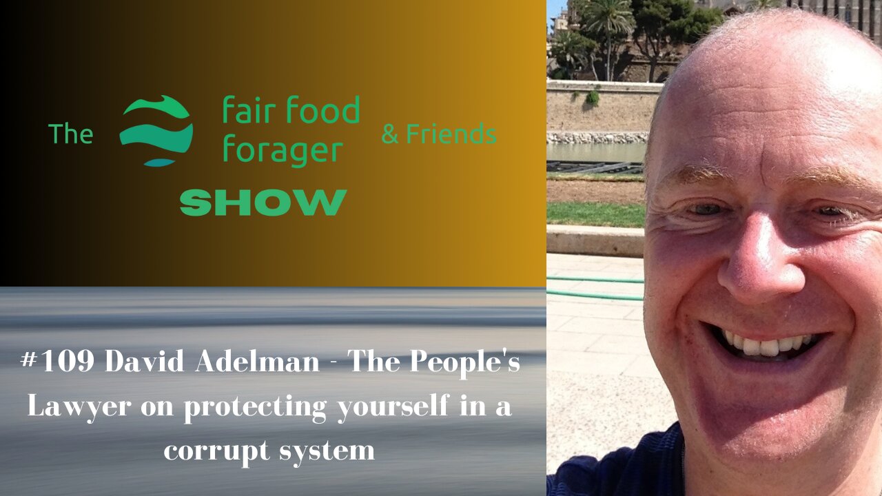 #109 David Adelman - The People's Lawyer on protecting yourself in a corrupt system