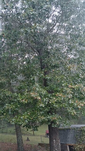 Hurricane Helene Still Dumping on Us