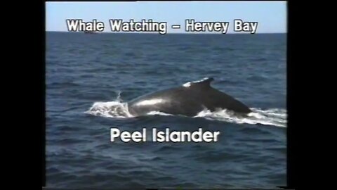TVC - Whale Watching: Hervey Bay (1992)