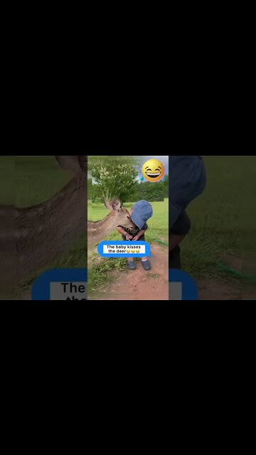 1Min Animal World #dogs #cats #pet