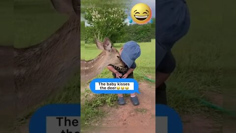 1Min Animal World #dogs #cats #pet