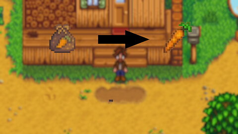 Stardew Valley Carrot Timelapse