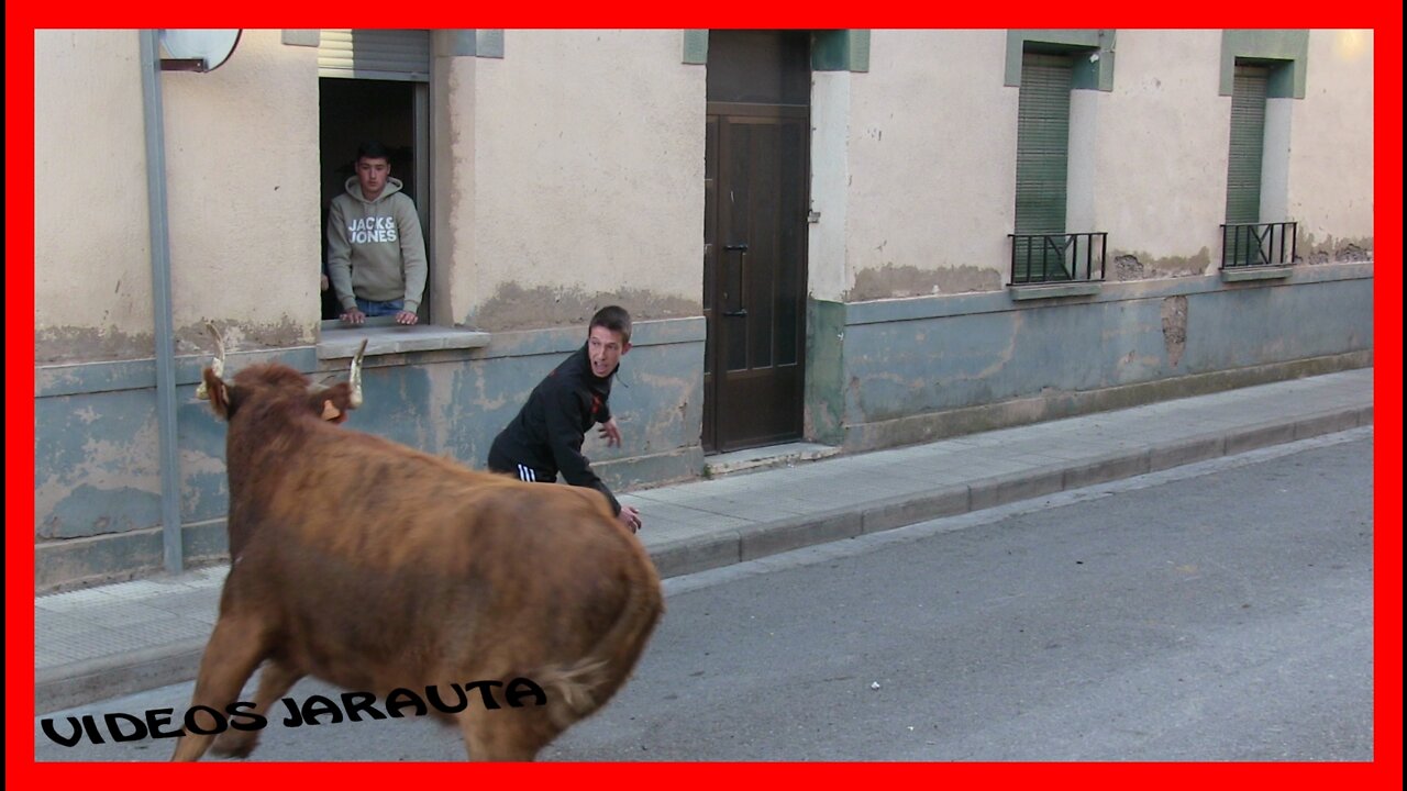 CASTEJON ( NAVARRA ) TARDE VACAS EN CALLE ( SABADO 9 ABRIL 2022 ) HNOS.MAGALLON