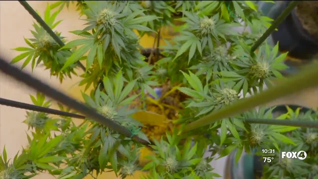 Supreme Court Judge asking if federal laws making marijuana possession illegal are out of date