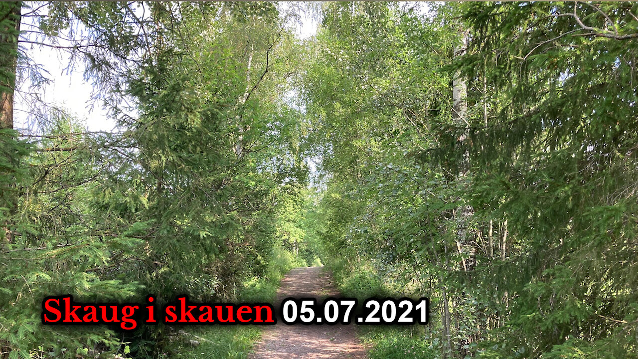 Skaug i skauen 5. juli: Offentlighetens fortielser