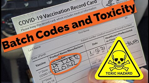 Batch Codes and Toxicity - Craig Paardekooper