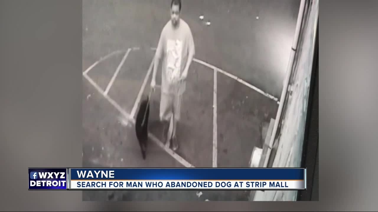 Search for man who abandoned dog at strip mall