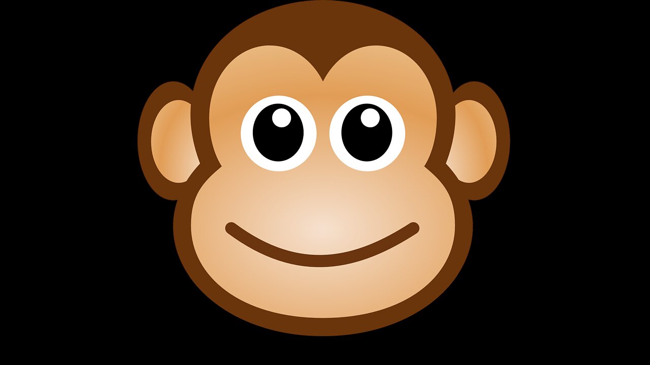 funny monkey