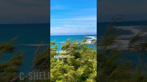 KAPA’A, HAWAI’I THE BEAUTIFUL SHORELINE & IN THE DISTANCE HA'UPU MOUNTAIN & KIPU KAI