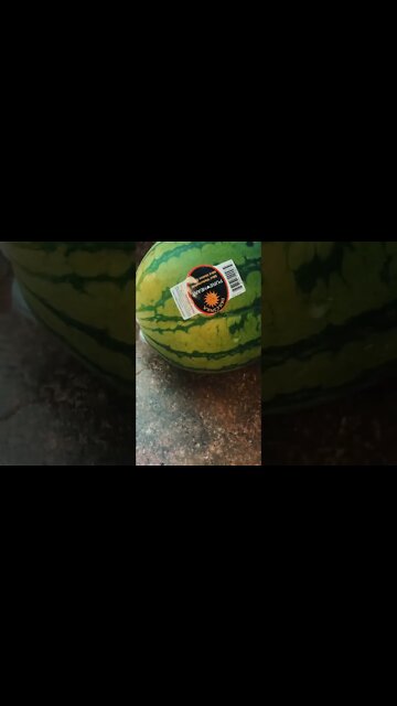 Watermelon Pregnant 🫃