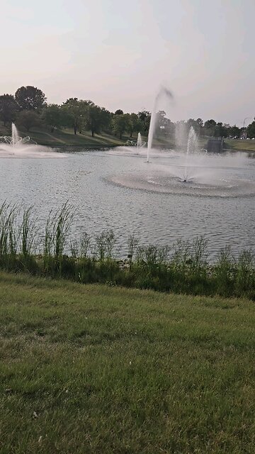 My Peaceful Place - Climate Change