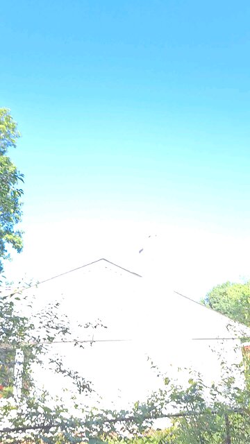 Thanks! 🖕🖕🖕🖕🖕