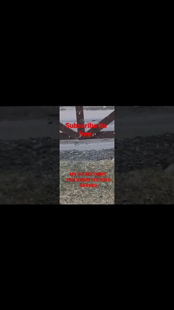 Duck sakes, it's May!!! #shorts #short