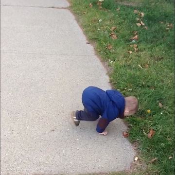 Dog Bark Scares Little Boy And He Falls On His face