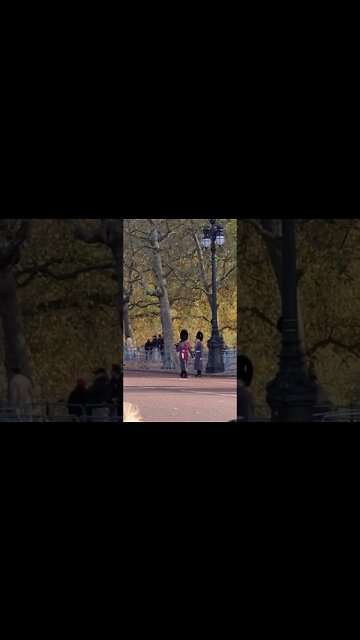 All the kings Guards are told to shuffle back #horseguardsparade