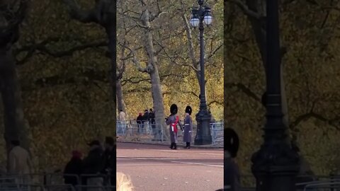 All the kings Guards are told to shuffle back #horseguardsparade