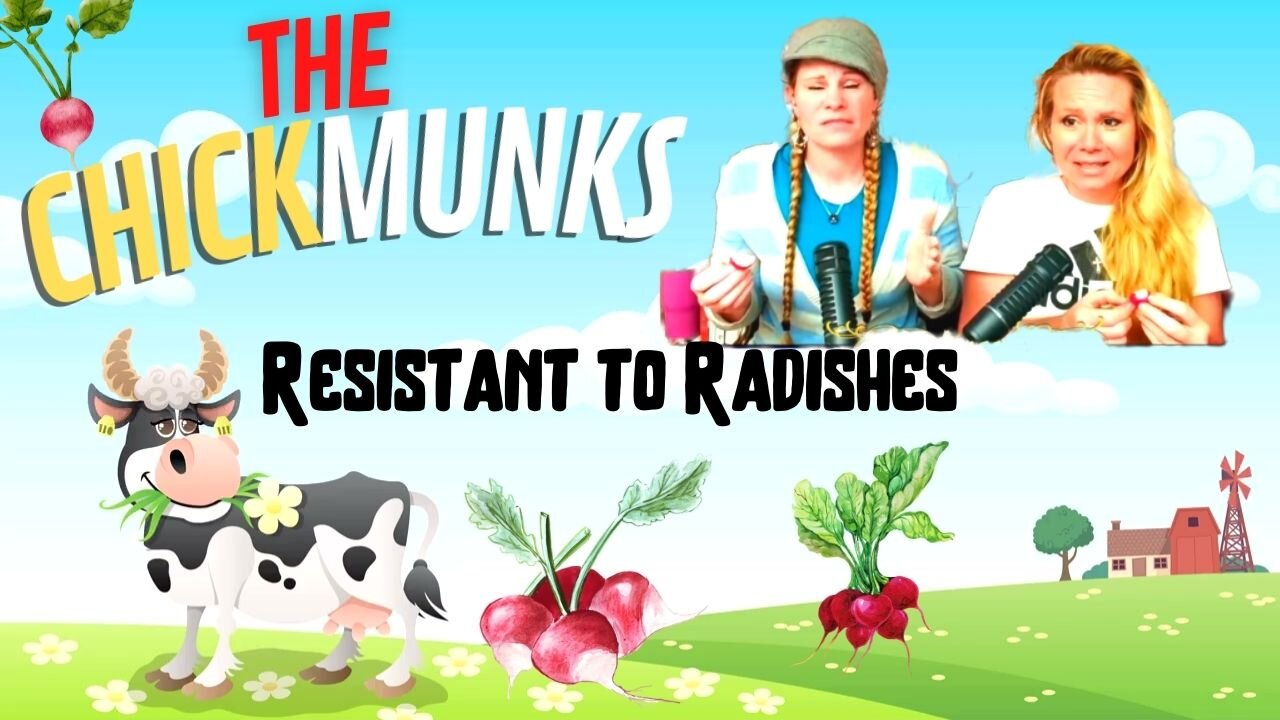 HILARIOUS!!! CHICKMUNKS: Resistant to Radishes