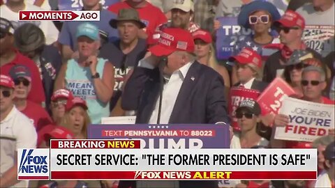 WATCH: Moment Trump appears to be shot at rally